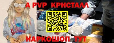 спиды Кингисепп