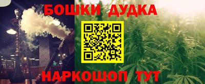 спиды Кингисепп