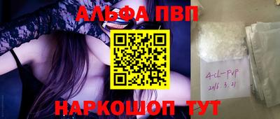 спиды Кингисепп