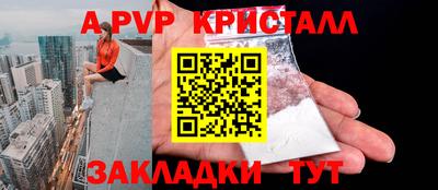 спиды Кингисепп