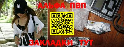 спиды Кингисепп