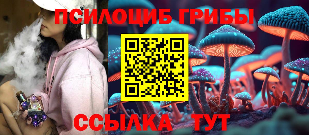 Псилоцибиновые грибы Psilocybine cubensis Кудрово